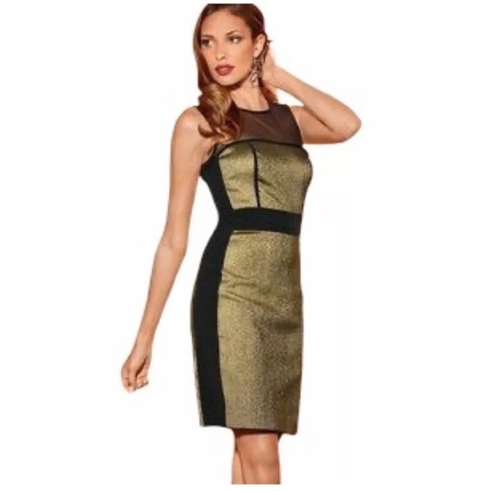 Boston Proper Illusion Gold Black Sheath Dress Sleeveless Mesh Size 4 NWT